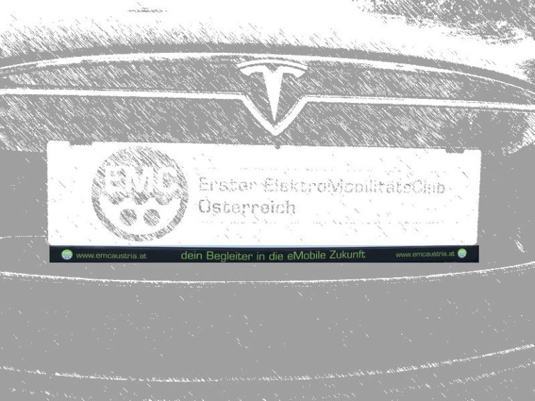 EMC-Aufkleber für Auto-Kennzeichenhalterung | Kennzeichenaufkleber 1