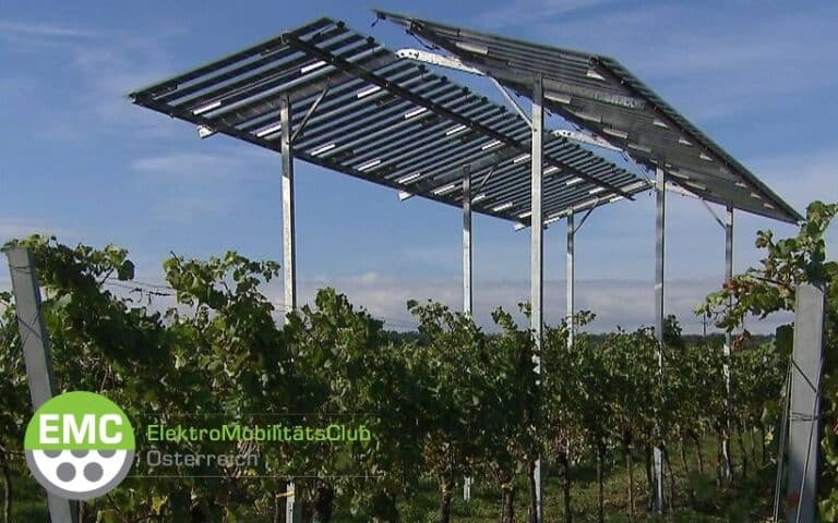 Livestream - Agri-Photovoltaik im Weingarten | Agro Phozovoltaik