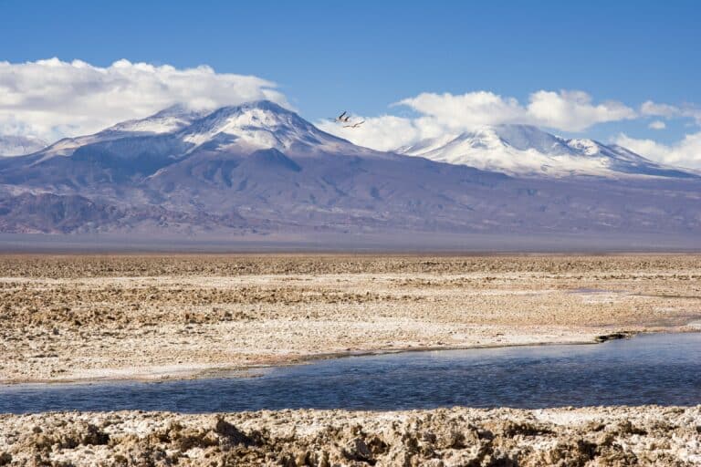 BMW Group beteiligt sich an Projekt zu nachhaltigem Lithium-Abbau in Chile | P90452530 highRes bmw group joins sust min