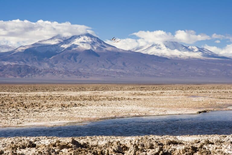 BMW Group beteiligt sich an Projekt zu nachhaltigem Lithium-Abbau in Chile | P90452530 highRes bmw group joins sust min