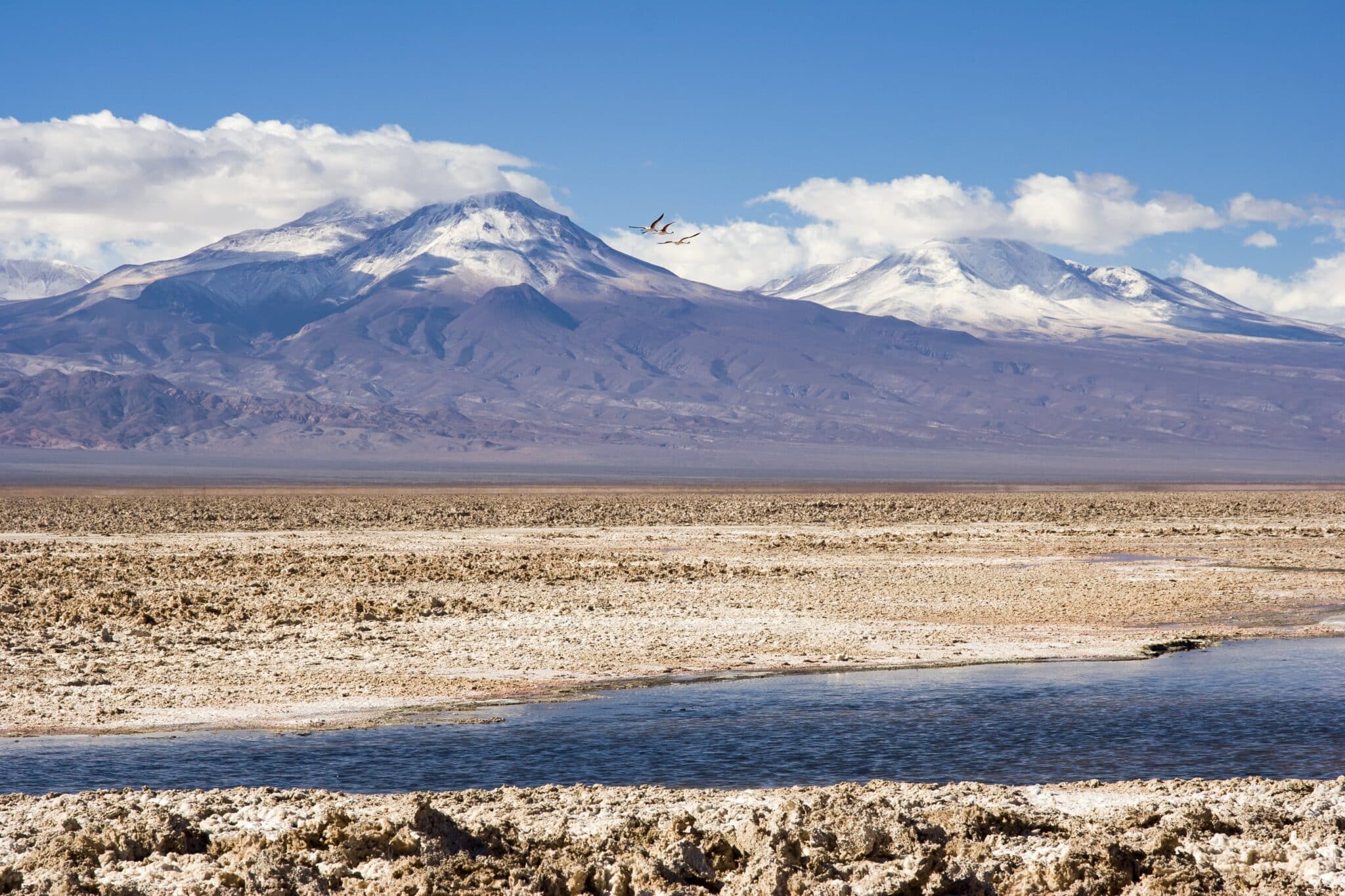 BMW Group beteiligt sich an Projekt zu nachhaltigem Lithium-Abbau in Chile | P90452530 highRes bmw group joins sust min scaled