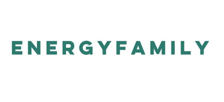 Niederösterreichisches Startup „EnergyFamily“ mit Innovationspreis ausgezeichnet | EnergyFamily Logo hp