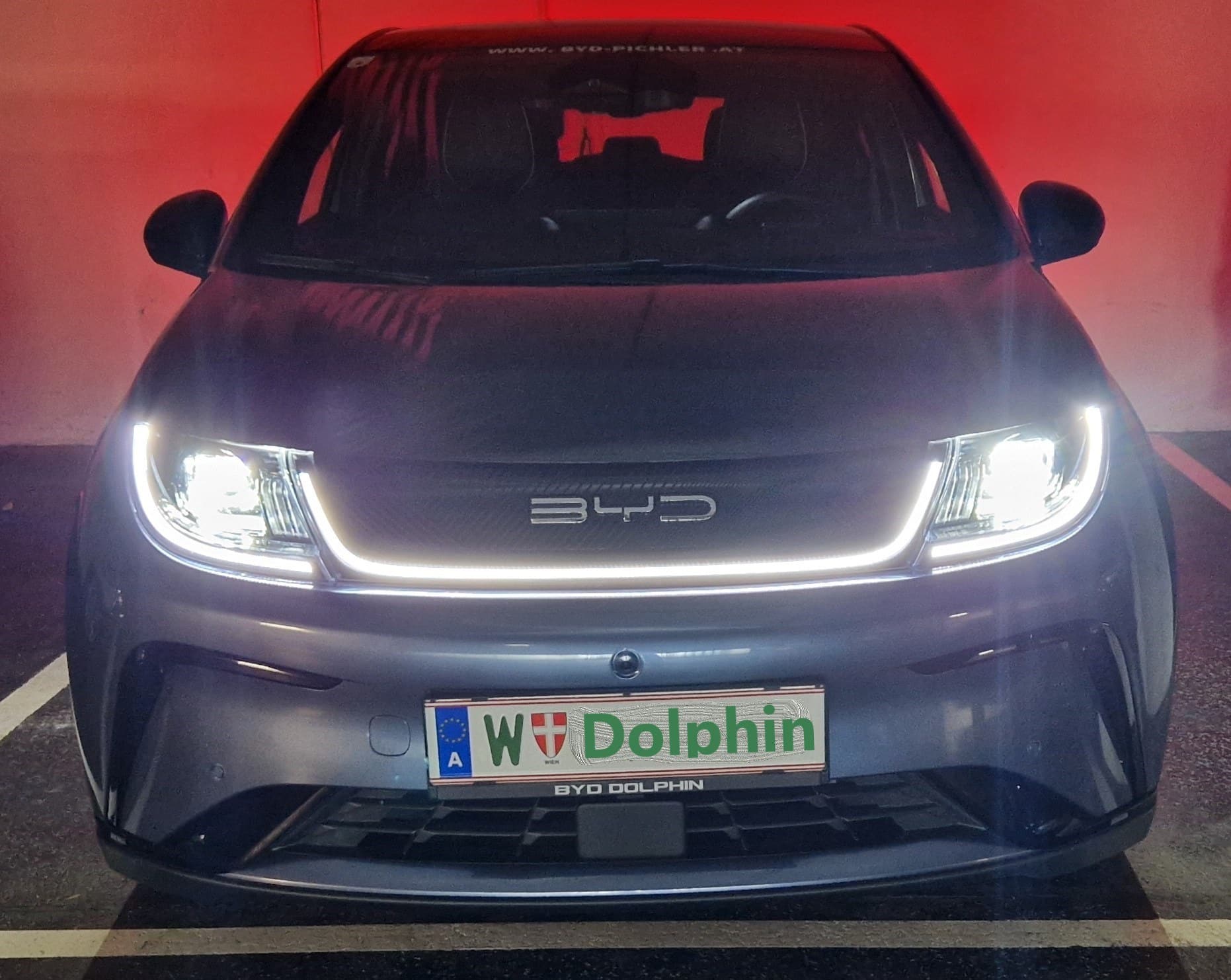 Ein Delphin für die Straße – BYD Dolphin | 20240211 142433 Lichtsignatur